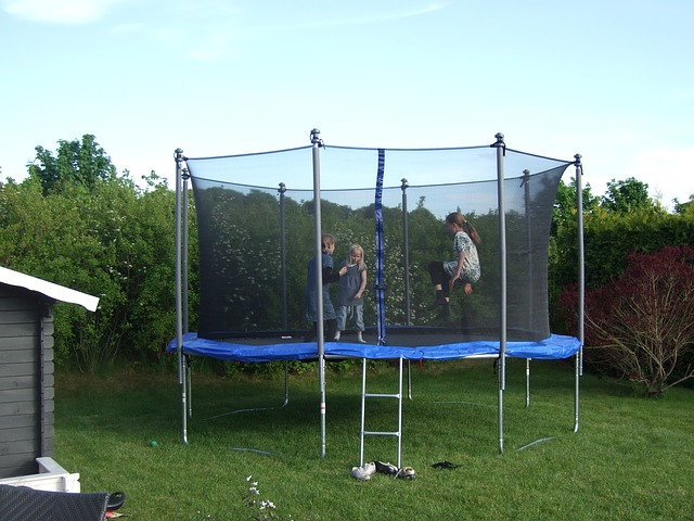 trampoline with a ladder